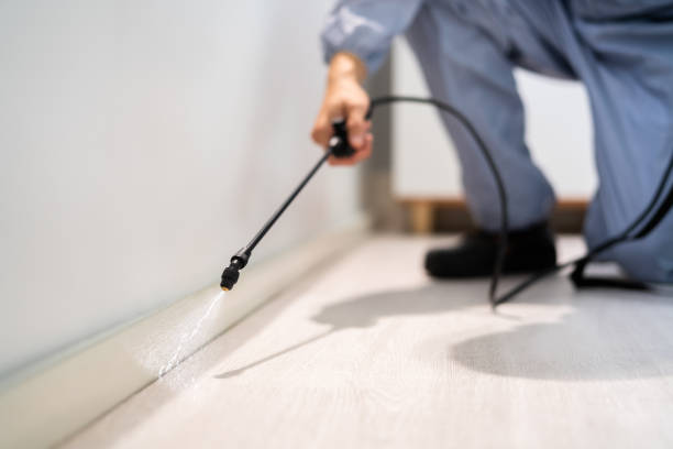 Bed Bug Pre-Treatment Preparation Assessment in New Hartford Center