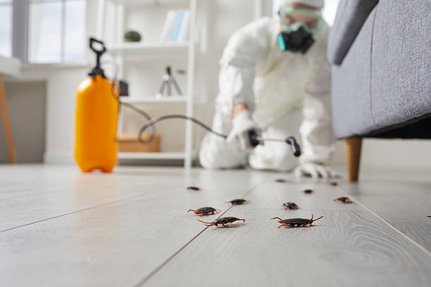 Post-Treatment Bed Bug Interceptor Monitoring in New Hartford Center