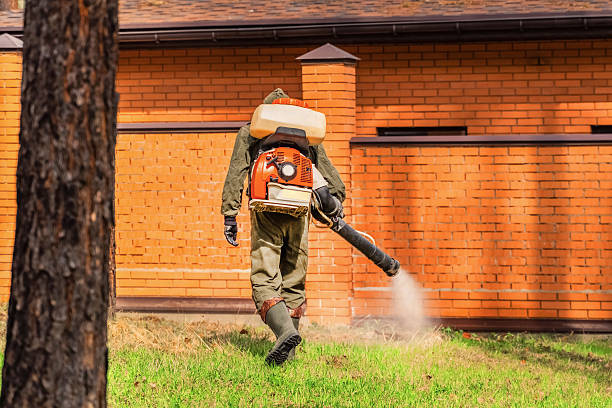 Bed Bug Clearance Verification and Documentation in New Hartford Center